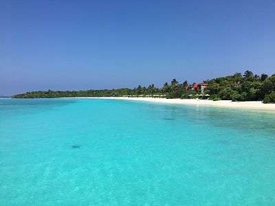 Мальдивы. Северные атоллы. Катера Seagal.  9